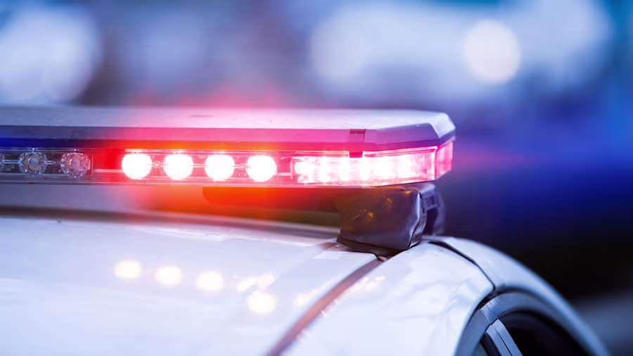 4 dead in plane crash near Galveston Bay, sheriff’s office says